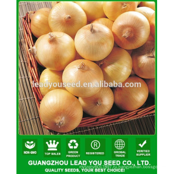 NON01 Aihuang гибрид лука семена цена, семена лука на продажу